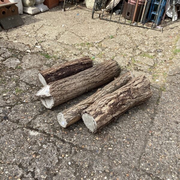 Lot of three Robina turning blocks for wood turning.