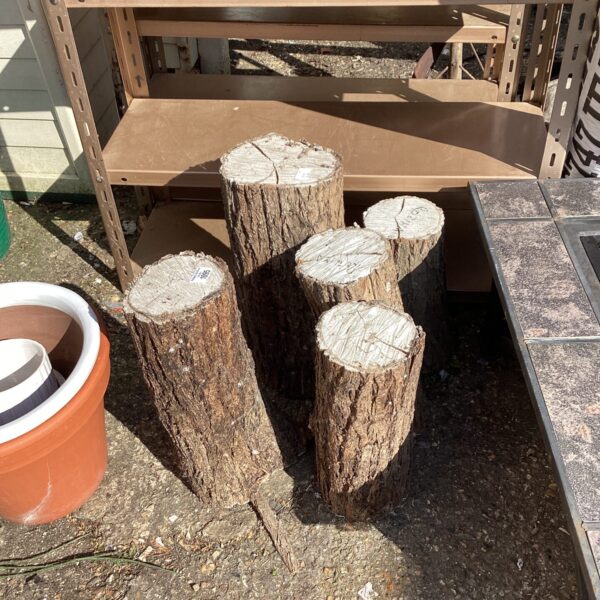 Lot of five Robinia turning blocks for woodworking projects.