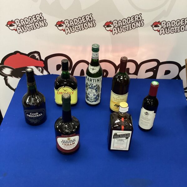 Mixed alcohol lot featuring Dry Martini and other vintage bottles.