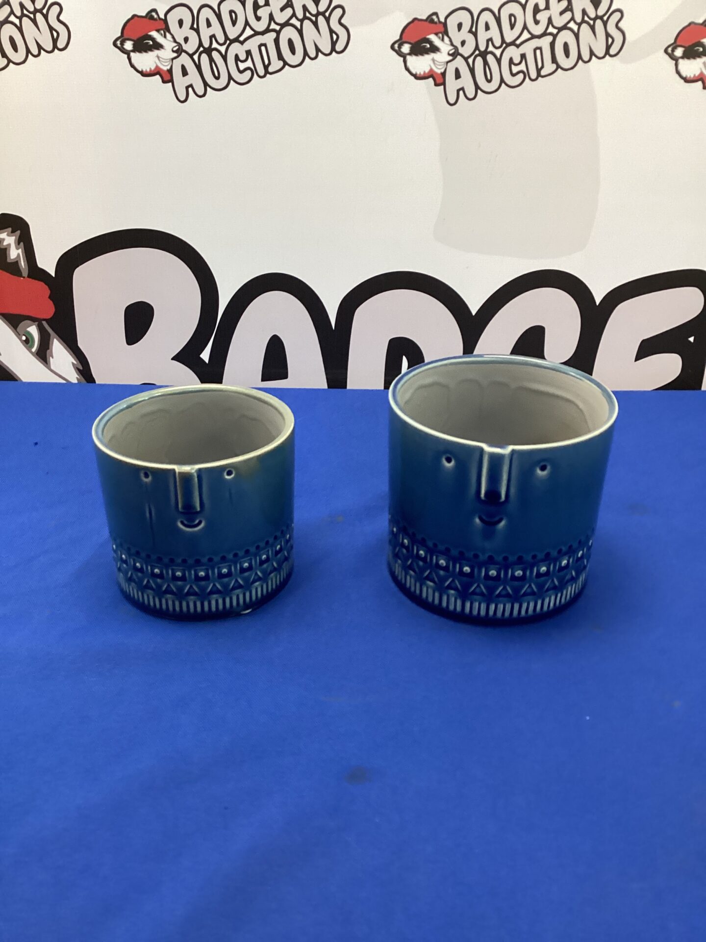 223 Two Gisela Graham Flower pots