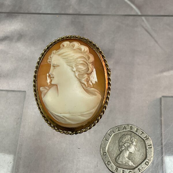 Antique Victorian cameo brooch with a shell carving.