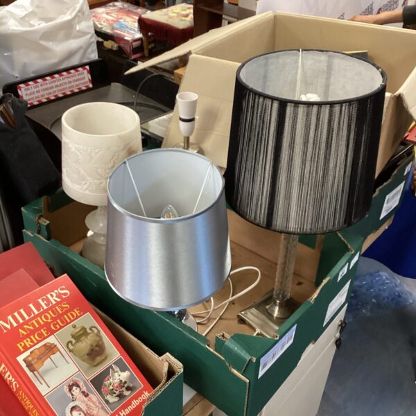 Mixed lot of vintage table lamps with a book in the background.