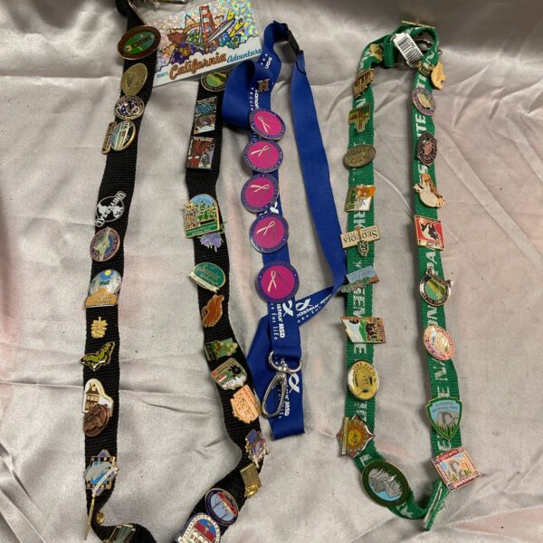 Front view of Disney pin badge lanyard collection with multiple pins.