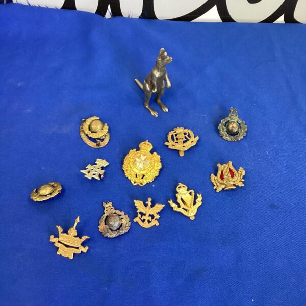 Selection of vintage military cap badges for collectors.