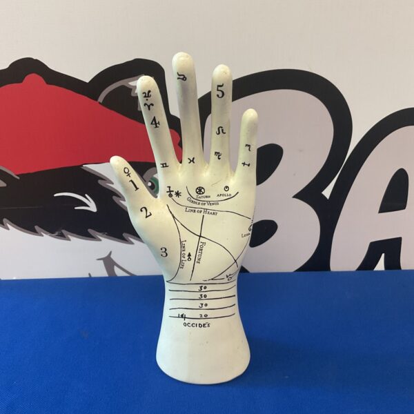 Vintage palmistry hand model for studying hand reading and palmistry.