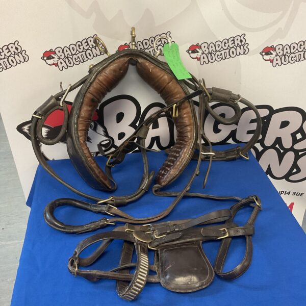 Vintage leather horse driving harness with bridle and cruppa.