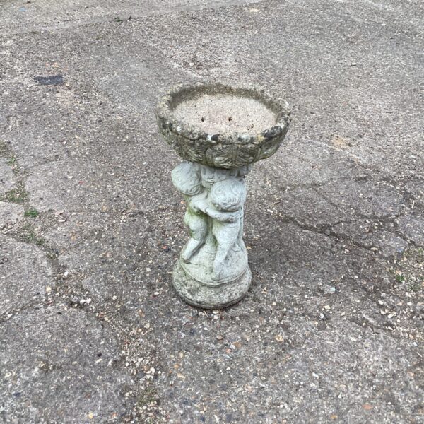 Classic stone bird bath in a garden setting.