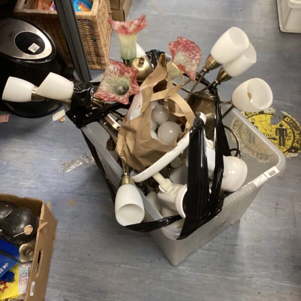 Assorted ceiling lights and a bag of bulbs for restoration.