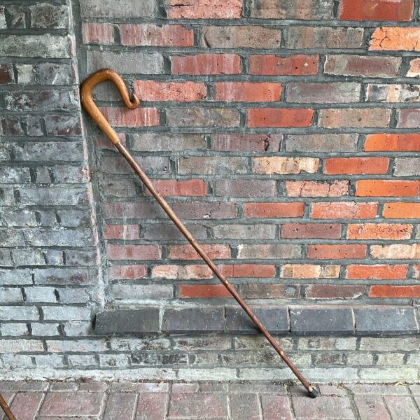 Vintage shepherd's crook with curved handle, rustic walking stick.
