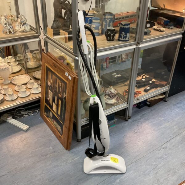 Morphy Richards Luna steam cleaner displayed amongst collectibles.