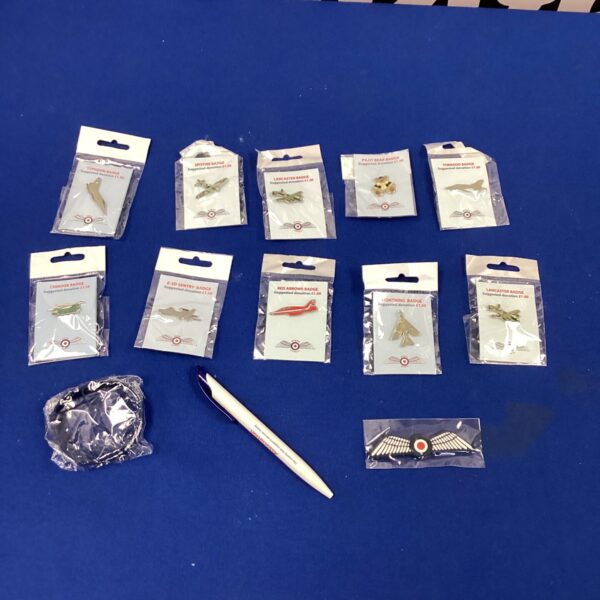Set of Royal Air Force enamel pin badges for collectors.