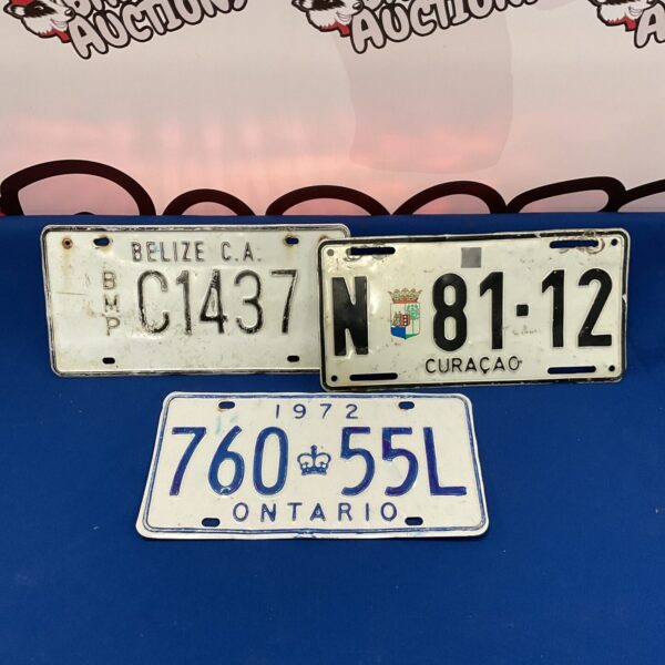 Vintage foreign number plates lot including Beliza and Ontario.