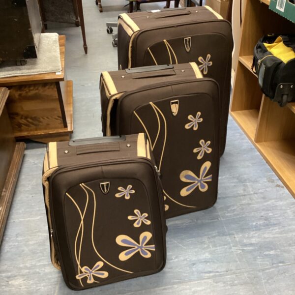 Vintage Arolite suitcase set with wheels and extendable handles.