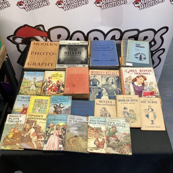 Vintage Ladybird books collection featuring classic fairy tales.
