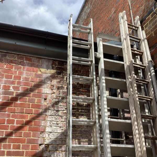 Aluminium extension ladder leaning against a brick wall in a garden.