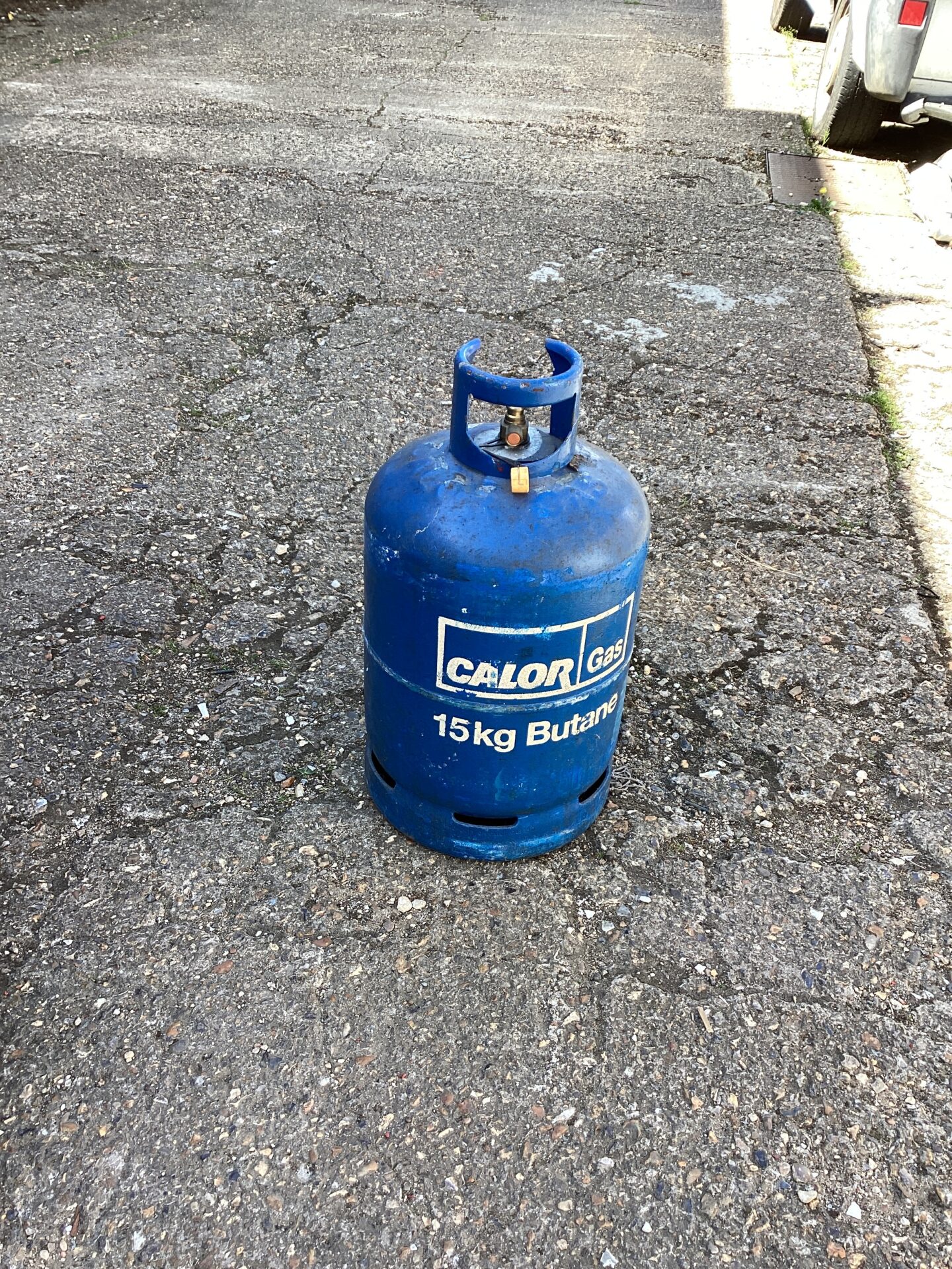 1233 Bottle of Calor 15kg Butane Gas