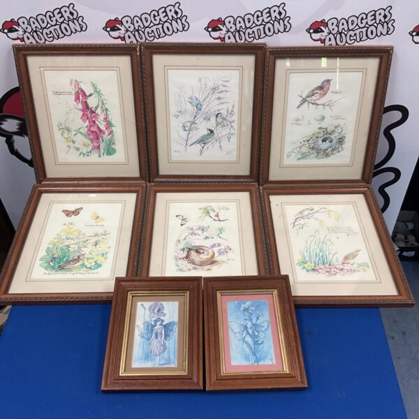 Lot of eight framed fairy and wildlife prints for vintage home decor.