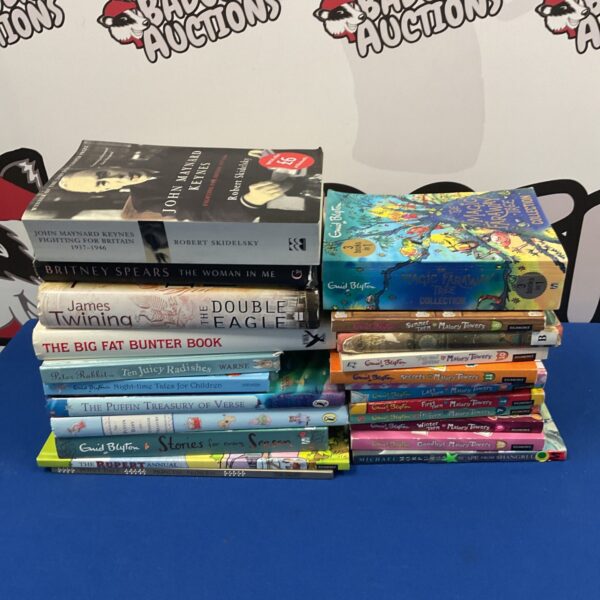 Vintage lot of Enid Blyton childrens books for collectors.