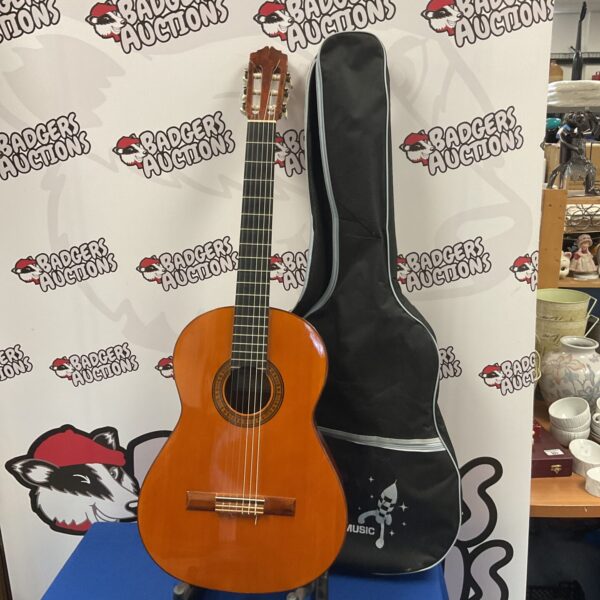Ricardo Sanchis Carpio acoustic guitar in a hard case.