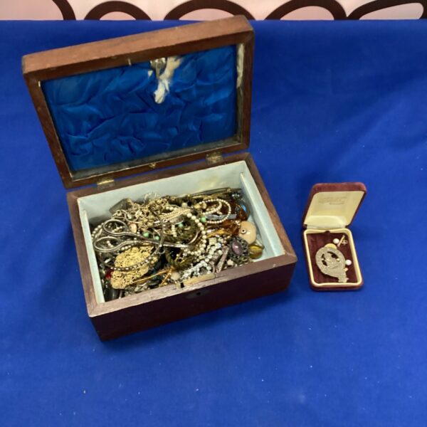 Assorted vintage costume jewellery lot with necklaces and brooches.