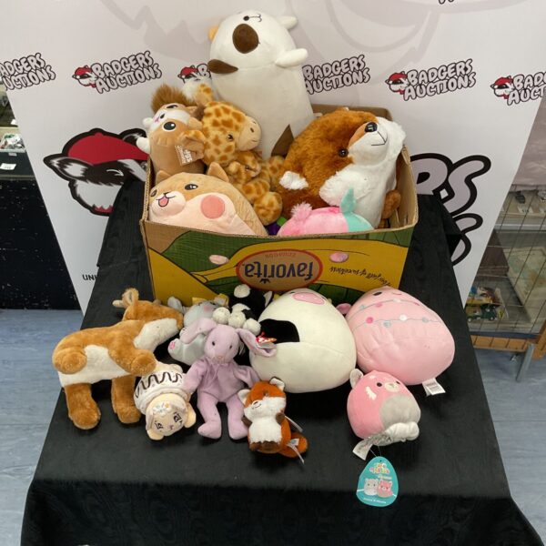 Mixed soft toy lot including Squishmallows and Ty Beanie Babies.