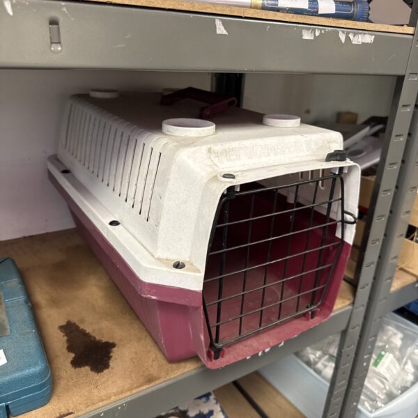 Front view of a vintage Pet Voyageur 100 pet carrier.
