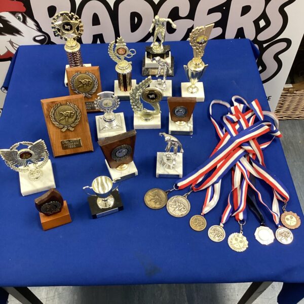 Mixed lot of sports trophies and medals for Taekwondo, Judo, and Tennis.