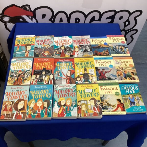 Vintage Enid Blyton books including Famous Five and Malory Towers series.
