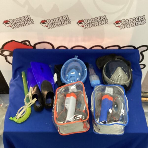 Blue and black snorkel mask and fin set for underwater exploration.