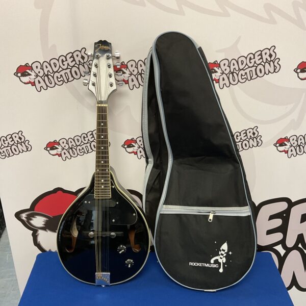 Vintage Johnson electric mandolin in a protective hard case.