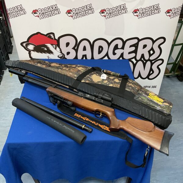 Hatsan AT44-10 .22 caliber air rifle with hard case.