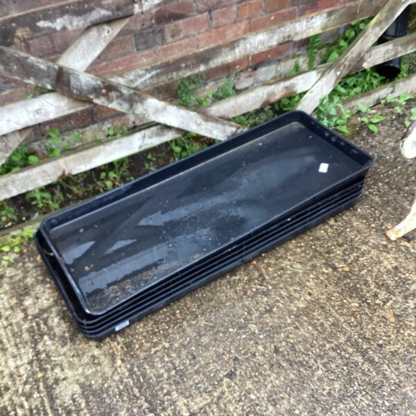 Five black plastic greenhouse trays for seed starting.