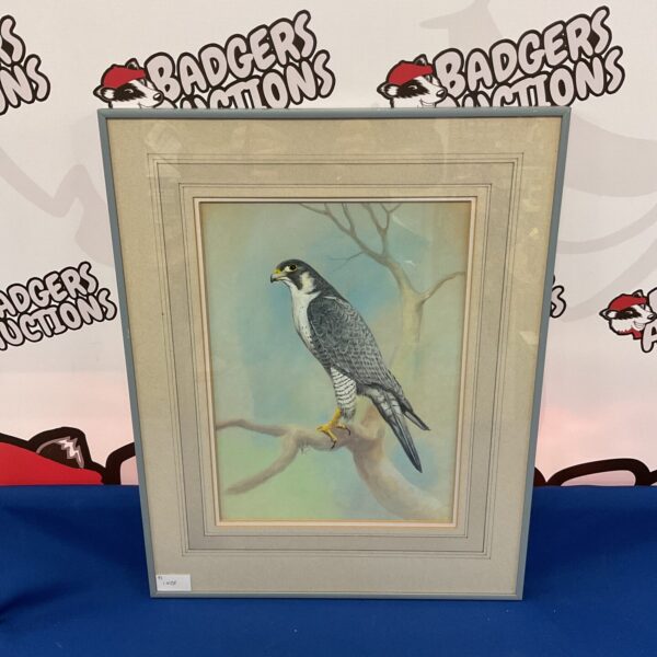 Stunning acrylic painting of a peregrine falcon by Aldus.