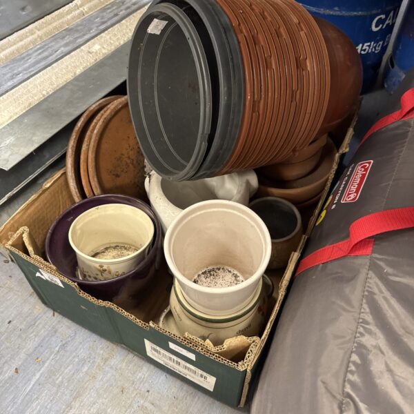 Tray of assorted terracotta and ceramic plant pots for gardening.