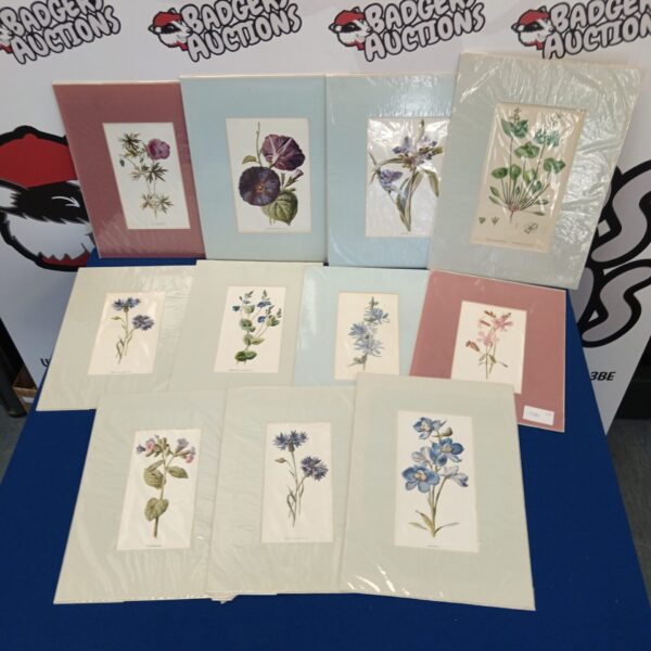 Collection of ten vintage botanical prints with floral illustrations.