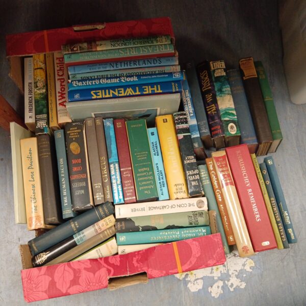 Overview of a vintage book lot with various titles and covers.