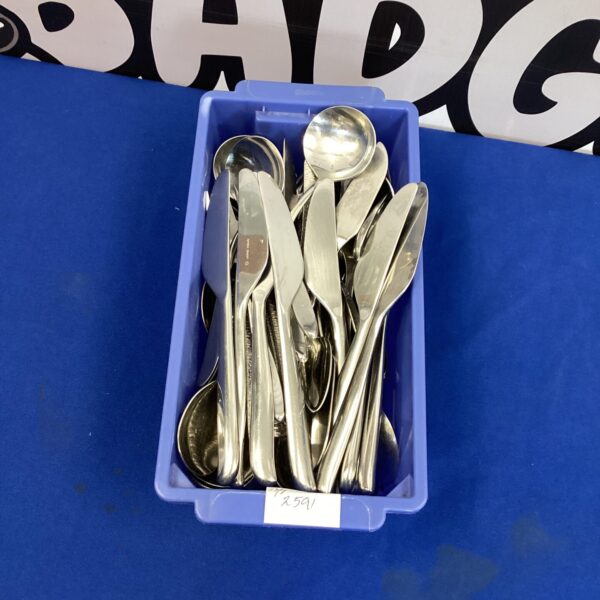 Stainless steel cutlery set in a storage box.