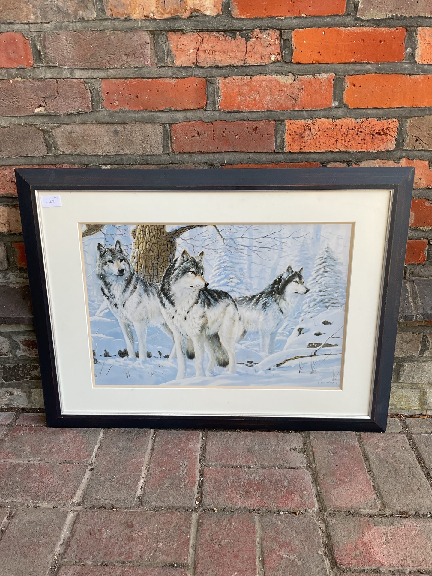 611 A Fernandez framed print of a wolf pack