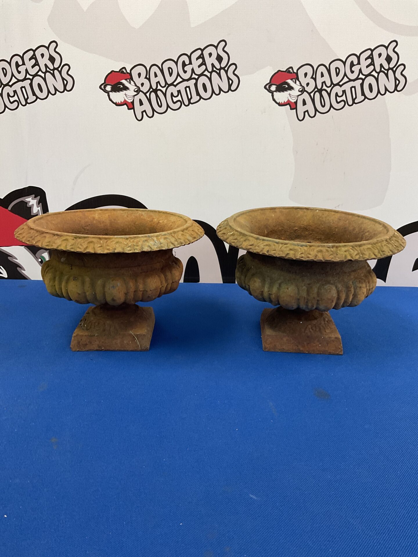 048 Pair of small Victorian cast iron urn planters