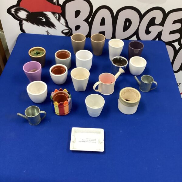 Collection of colourful mini flower pots for small plants.