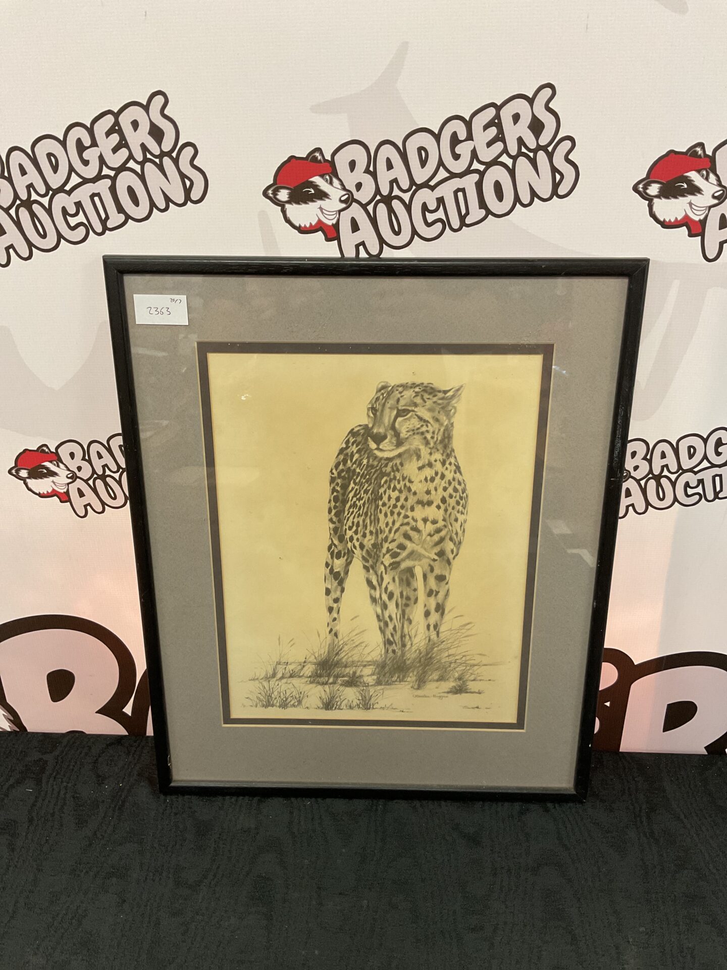 656 Marsden huggins framed print of a leopard