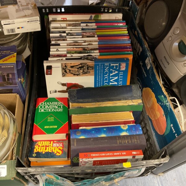 A stack of DK encyclopaedias and reference books.