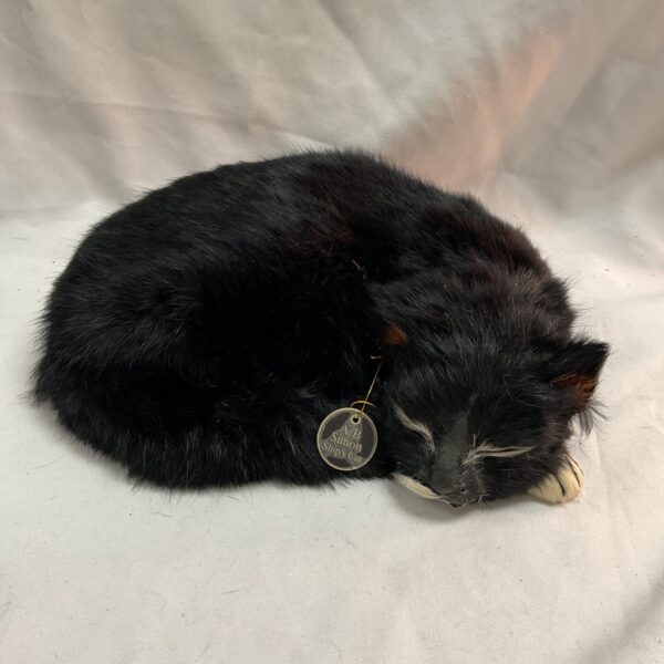 Black replica of Simon's ship cat, curled up with a tag.