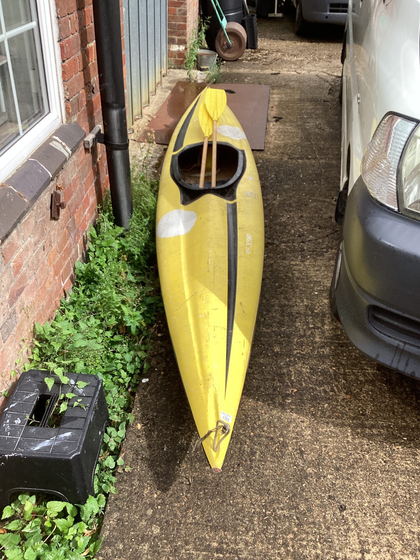 1123 Canoe with paddles