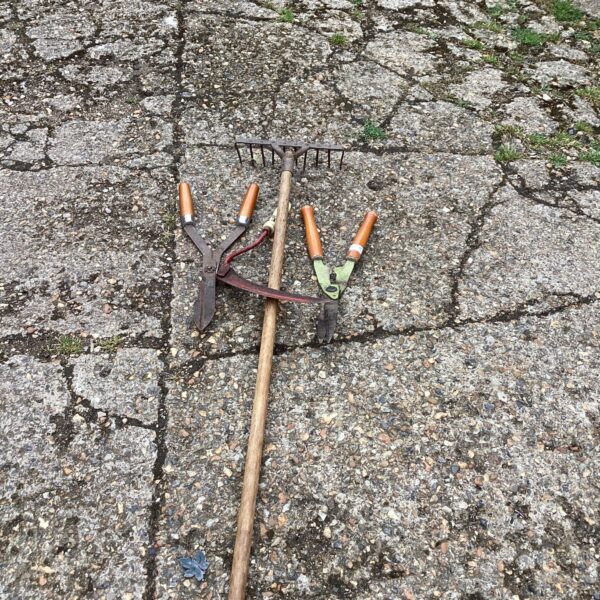 Vintage garden hand tool with wooden handle and metal tines.