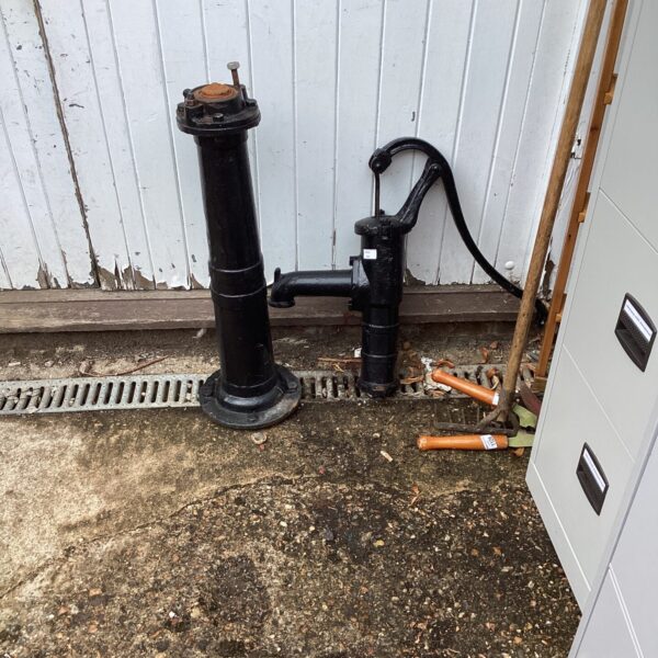 Antique cast iron ornamental water pump in a garden setting.