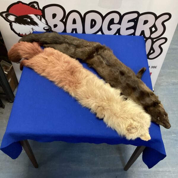 Lot of two vintage fur stoles, classic winter accessories.