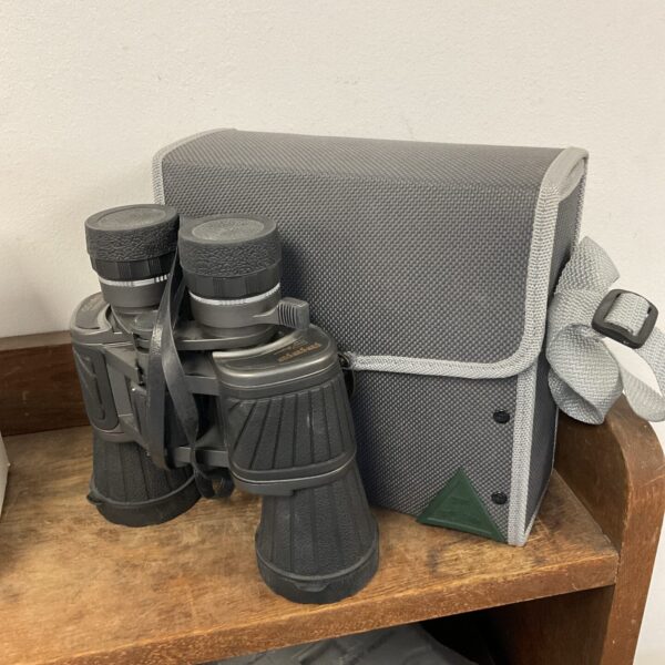Vintage Gingingin binoculars in a grey carrying case.