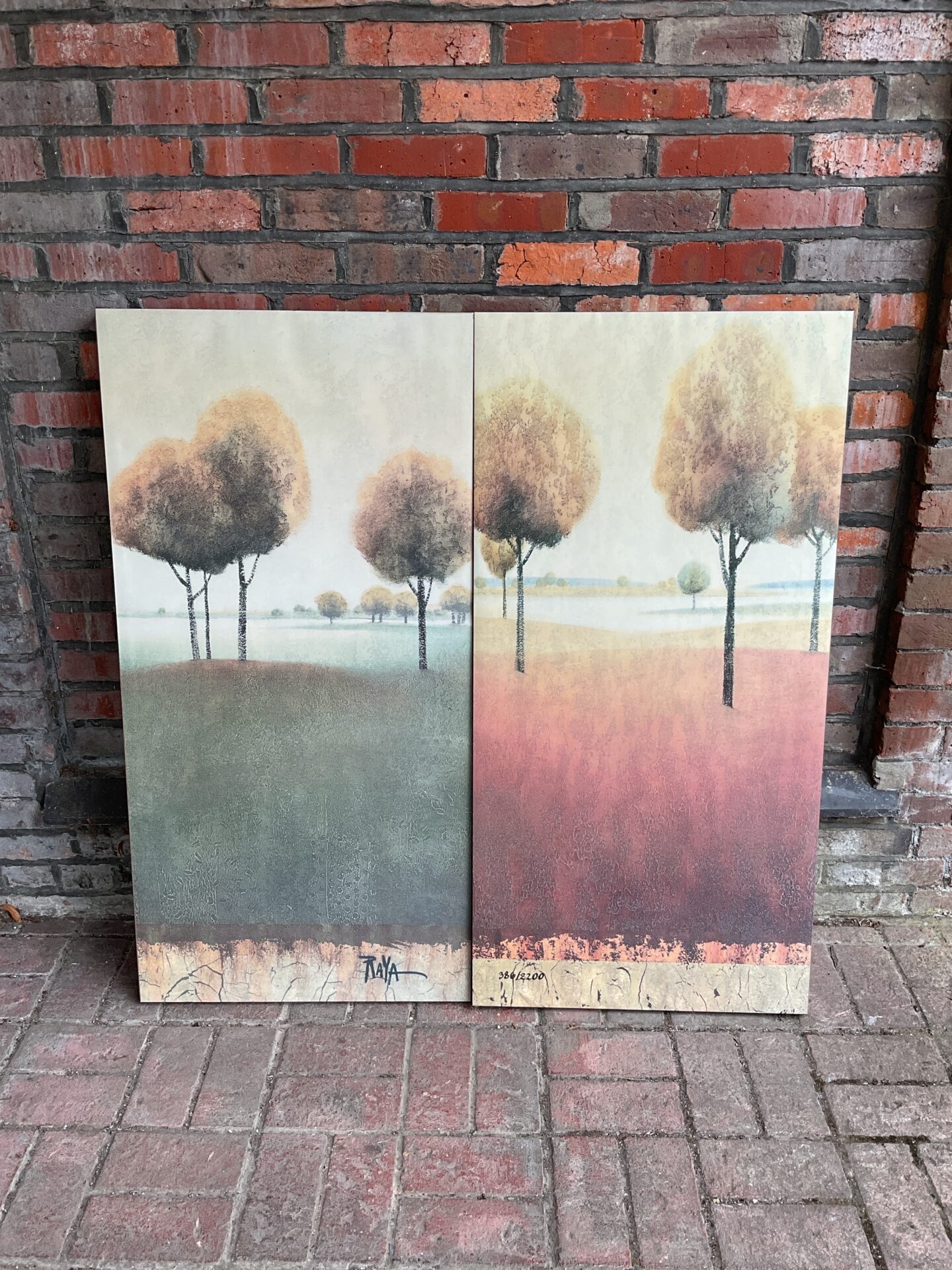 691 Pair of raya limited edition canvas prints