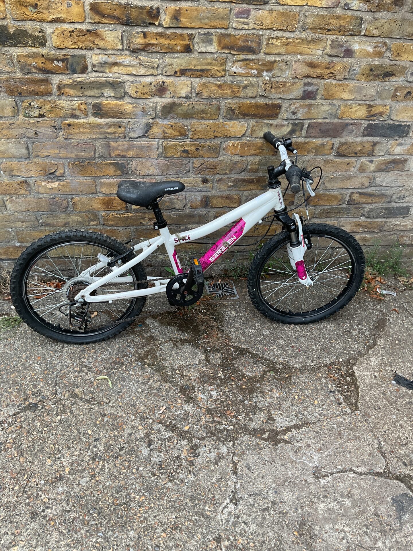 1172 Saracen spice kids bike